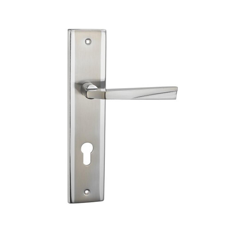 F919-M1 SC Door Handles & Levers With Plate